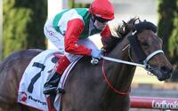 Pancho dominant in Moonee Valley win