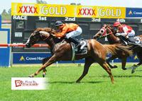 Voltaire Lumiere Brings His Best To Grafton
