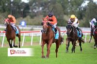 Ballina Double for Hydrazine and Call us Primi