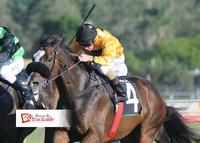 Ipswich Double for Alatora and Napayshini