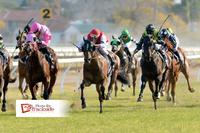 Queachy Wins!!