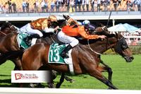 Brisbane Winter Carnival Group 3 Success!