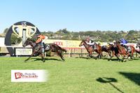 Polemic attacks the line!