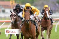 Mackellar Looks impressive!