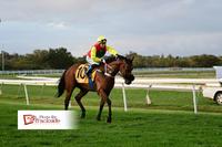 Sapper Tom Wins Again!