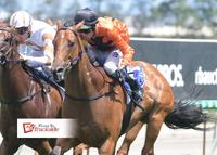 Alatora's Fast Finish Makes It Four Wins For The Week