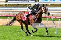 Princess Arrow lands the feature