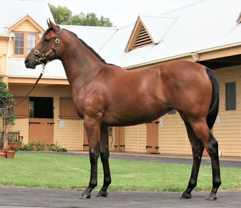 Toorak Toff X En Amont