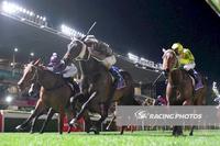 First city success for New York Celebrity