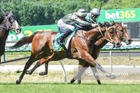 Hunamosa salutes at our favourite track for the new Romsey stable