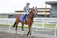Paris salutes at Pakenham and lands win number 6