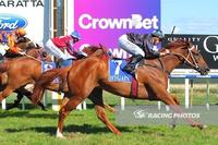 Callisto Moon shines bright at Wangaratta