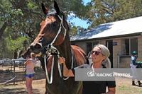 A hero ridden by hero lands the cash