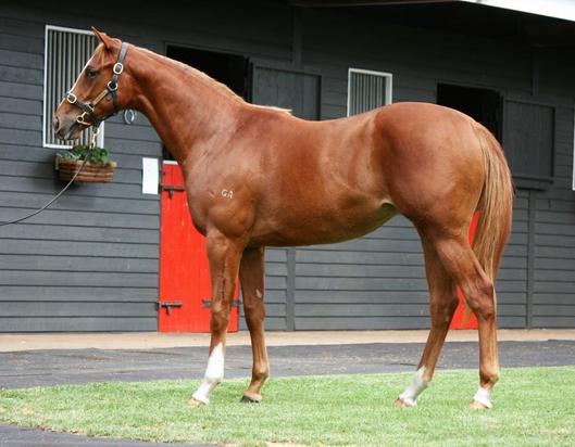 Starspangledbanner X My Secret Luv
