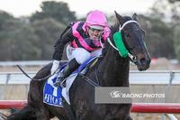 Traffic Cop another for the stable in the McPhee Silks