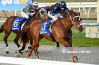 Stable Quinella In The Last At Pakenham