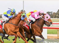 Hunboshi Brings Up Winner 500