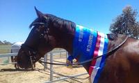 'NUDGE' IN WINNING FORM