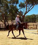 Lucas Cranach/Swanky Bar Filly