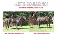 LAST CHANCE TO OWN A LUCAS CRANACH STAYER