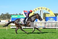 EXCITEMENT WINS AT BENDIGO