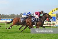 SAVAJU WINS AT BENDIGO