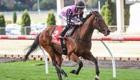 NINE NEWS - MISS LEONIDAS