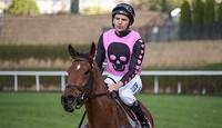 STAR PERFORMER AT CRANBOURNE TRIALS