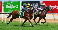 Horsebetting.com.au story on Sintara