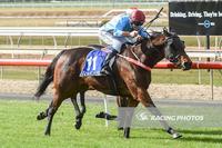 Thomas rides his first winner