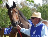 Benalla Nov 6 2016 012.jpg