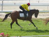 Kilmore Jumpouts Dec 13 2016 072.jpg