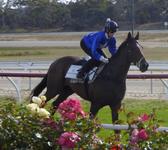 Kilmore Jumpouts Dec 13 2016 047.jpg