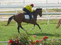 Kilmore Jumpouts Dec 13 2016 074.jpg