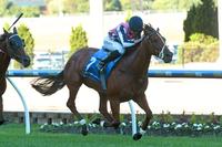 Prima ends 2016 on a winning note