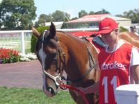 Caulfild Feb 11 2017 067.jpg