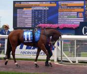 Caulfild Feb 11 2017 024.jpg