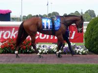 Caulfild Feb 11 2017 032.jpg