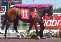 Caulfild Feb 11 2017 072.jpg