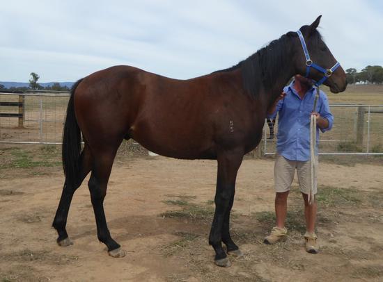 Unencumbered X Zattica