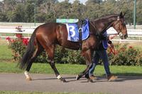 kilmoreraces18may2017 205 (640x427).jpg