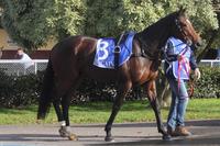 kilmoreraces18may2017 163 (640x427).jpg