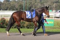 kilmoreraces18may2017 208 (640x427).jpg