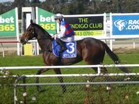 Kilmore May 18 2017 041 (2).jpg