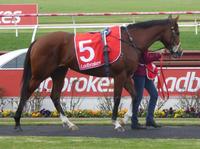 Sandown June 28 2017 019.jpg