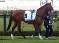 Flemington July 22 2017 084.jpg