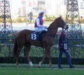 Flemington July 8 2017 099.jpg