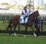 Flemington July 22 2017 095.jpg