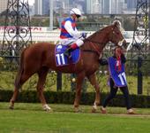 Flemington July 22 2017 035.jpg
