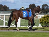 Wang Aug 28 2017 059.jpg